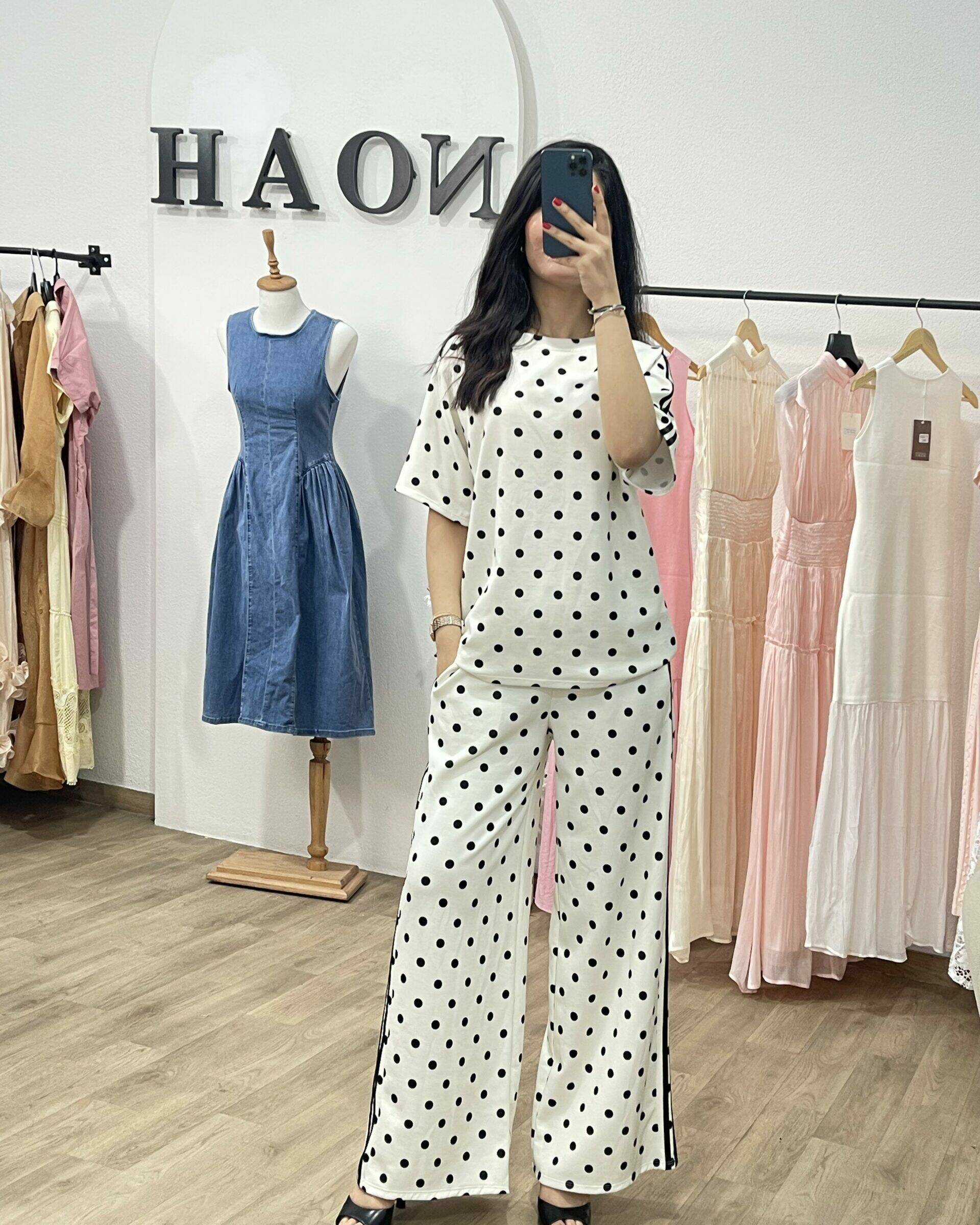 Ensemble Pois Parisien - Noah